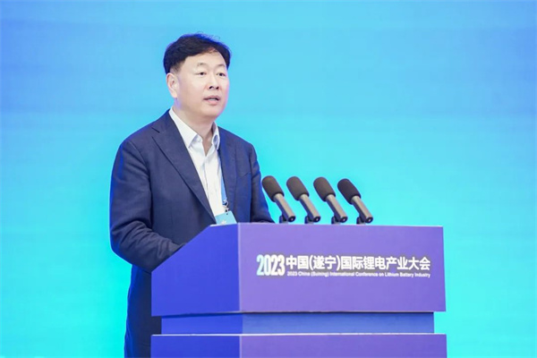 中國(guó)化學(xué)與物理電源行業(yè)協(xié)會(huì)秘書(shū)長(zhǎng)王澤深致辭